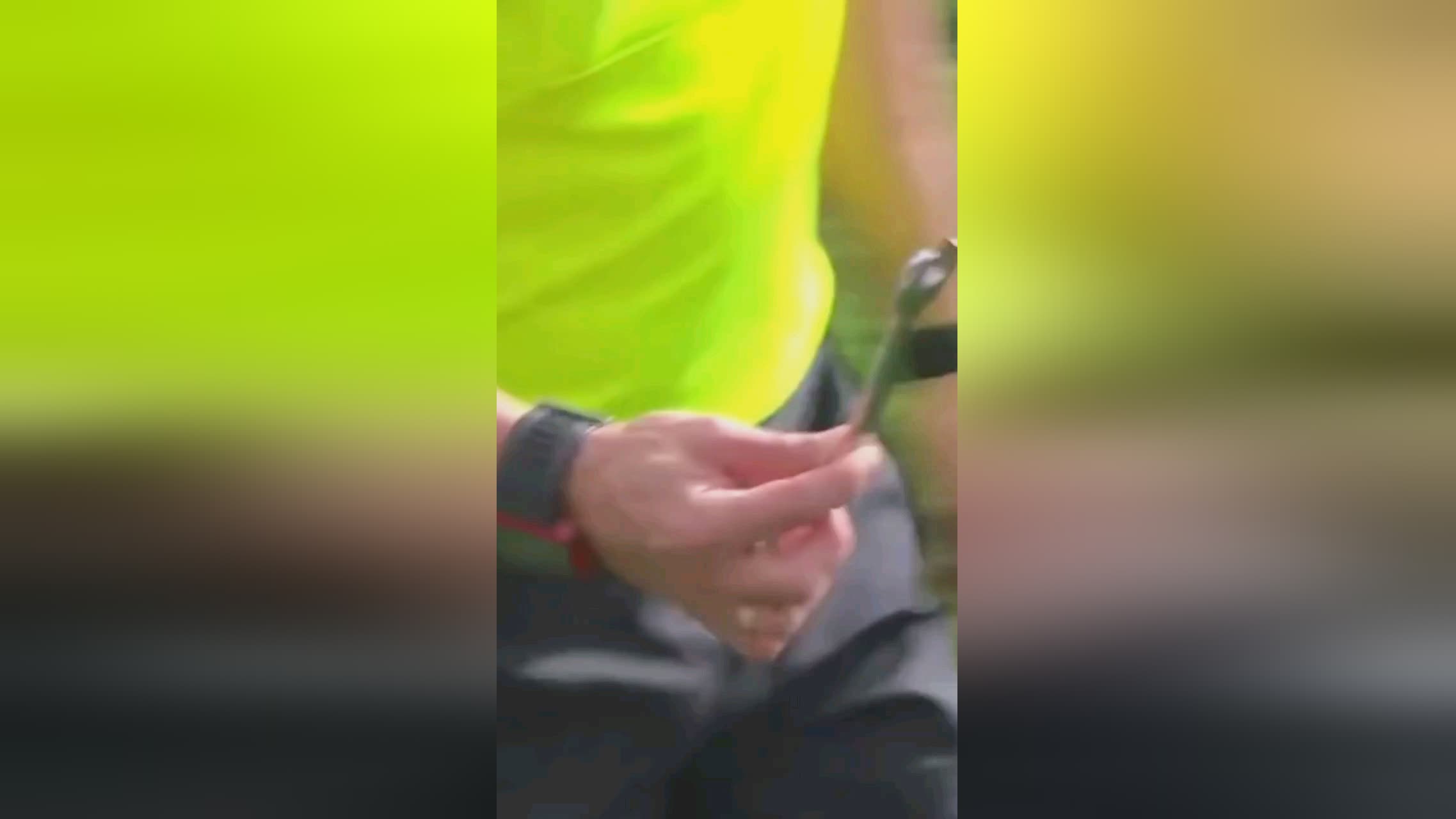 表现起