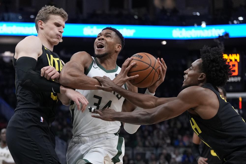 性悲剧总会 性悲剧总会